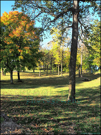 Br_Wayside_43_web