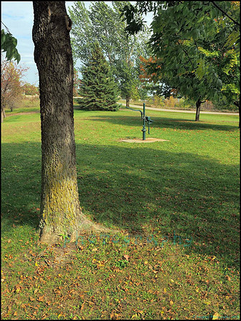 Runestone_145_web