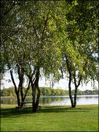Chippewa_77_web