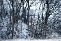 ABC_9217_web