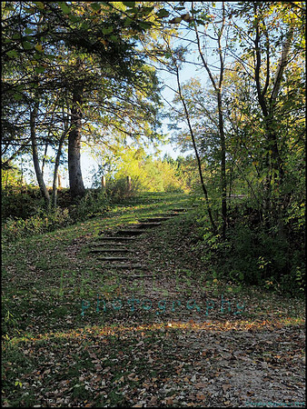 Spruce_Hill_17_web