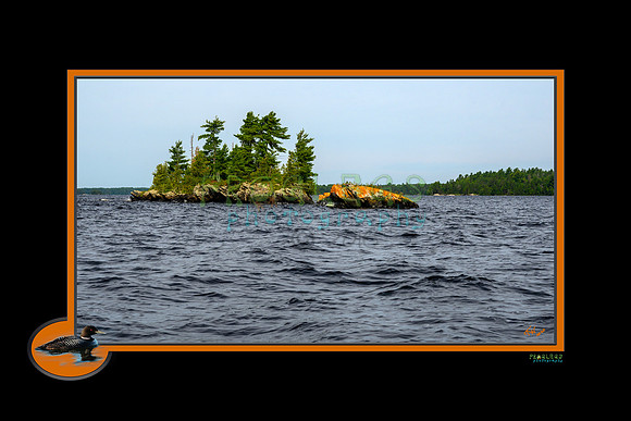 Loon_print_1932_web